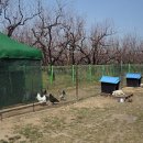 금구농장 이미지