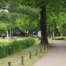 노적봉공원 이미지