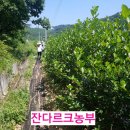 팔팔농장 이미지