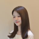 시영드라이 이미지