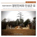정빈민씨묘 이미지