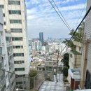 하늘새카페 | 영주동 신상 브런치 카페 “모아미뇽”