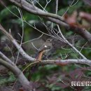 춘양파출소 이미지