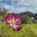 센트럴보청기 이미지