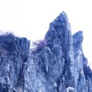 신이 빛어놓은 수석과 남해바다 청정해역 남도의 금강산 달마산으로!... 이미지