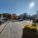 홍대연트럴파크게스트하우스