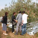 호원농장 이미지