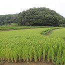 합덕역공인중개사사무소 이미지