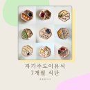 4228 | 자기주도이유식 7개월 식단, 식판 샷, 2개월 진행 변화, BLW 60일 후기