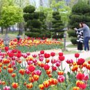 유림-1024 이미지