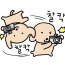 영 휘트니스존 이미지