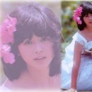 코이즈미 쿄코 카카오 검색결과