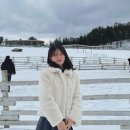 유준상사 | 꽤나 재밌는 2024 블로그문답 36개 양식은 댓글에 있슴돠