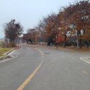 지영동체육공원 이미지