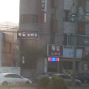 독도노래궁