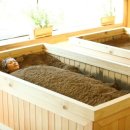 건강토피아 - 칠곡군 | 건강토피아