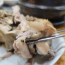 참조은능이버섯백숙