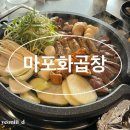 고양 삼송 곱창맛집 마포화곱창 내돈내산 후기
