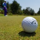 더골프24 이미지