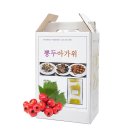 ★ AI가 알려주는 뽕잎/나무와 두충 효능 이미지