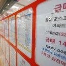 급매물공인중개사사무소 서울신문