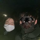 원영카센타 이미지