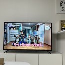 화인약국 | 에밀릴리의 일상 2505-2주차🫧