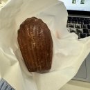 (주)진성상사 | 11월 일상 | 니 벌이에 다 감당이 되니…