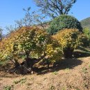 동원2리경로당 이미지