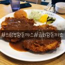 의정부 왕돈까스::금화왕돈까스 의정부용현점 내돈내산 솔직후기