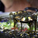 보라가든 이미지