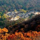 동일프라자약국 이미지