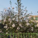 석란정펜션 이미지