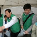 희망의 나무 이미지