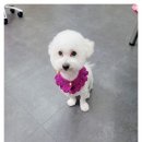 베니펫살롱 이미지