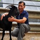 하모니축산 - 성남시 분당구 돌마로486번길 38 | 하모니축산