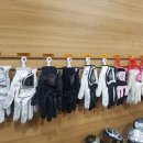 백양스크린골프 이미지