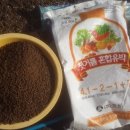 왕베리농원 이미지