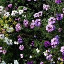 석굴암농장 이미지