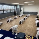 경희대 극동태권도 이미지