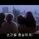해피툴스 이미지