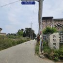 금당보건진료소 네이버블로그