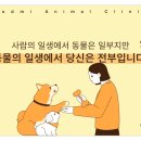 석적동물병원