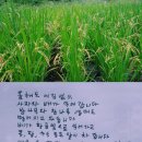 개구리의 엽서 2181/추석을 맞아 이미지