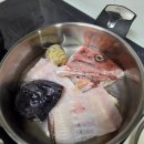 가락시장 퀵배달 영흥수산 방광돔회 인어교주해적단 쿠폰 네이버페이