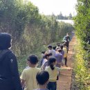 야동농장 이미지