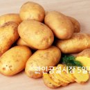 관인 5일장 이미지