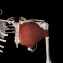 한성스포츠센터 이미지