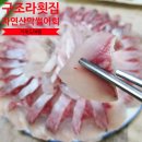 막썰어 세꼬시회 | 거제 구조라항 현지인 맛집｜구조라횟집 막썰어회 리얼 후기