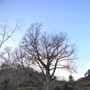 내서읍705 이미지